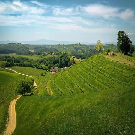 Near Zadar With Private Pool * Islam Latinski